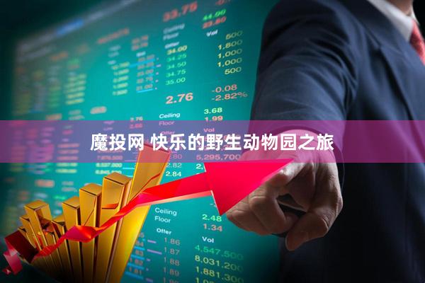 魔投网 快乐的野生动物园之旅