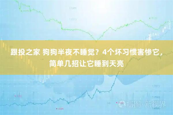 跟投之家 狗狗半夜不睡觉？4个坏习惯害惨它，简单几招让它睡到天亮