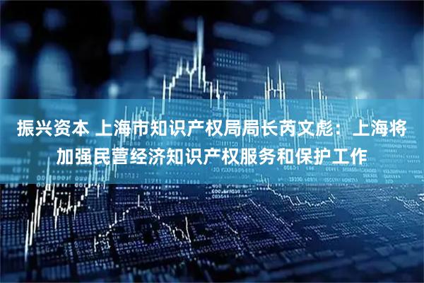 振兴资本 上海市知识产权局局长芮文彪：上海将加强民营经济知识产权服务和保护工作
