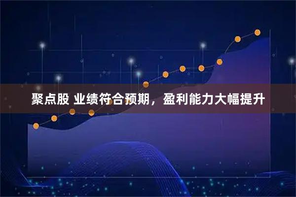 聚点股 业绩符合预期，盈利能力大幅提升