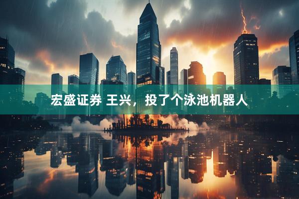 宏盛证券 王兴，投了个泳池机器人