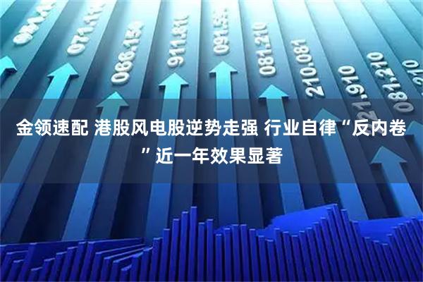金领速配 港股风电股逆势走强 行业自律“反内卷”近一年效果显著