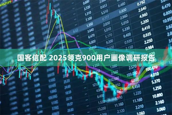 国客信配 2025领克900用户画像调研报告