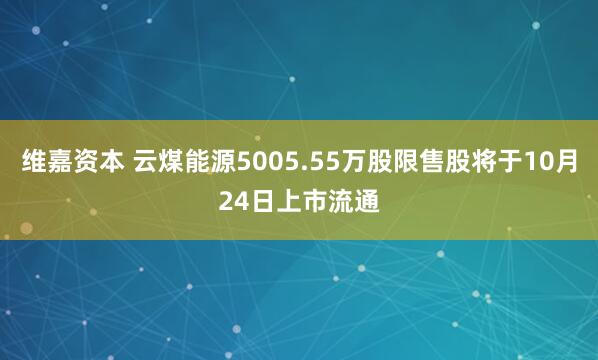 维嘉资本 云煤能源5005.55万股限售股将于10月24日上市流通