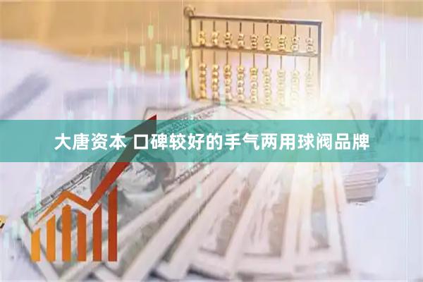 大唐资本 口碑较好的手气两用球阀品牌