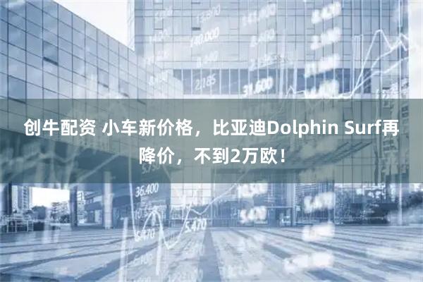 创牛配资 小车新价格，比亚迪Dolphin Surf再降价，不到2万欧！